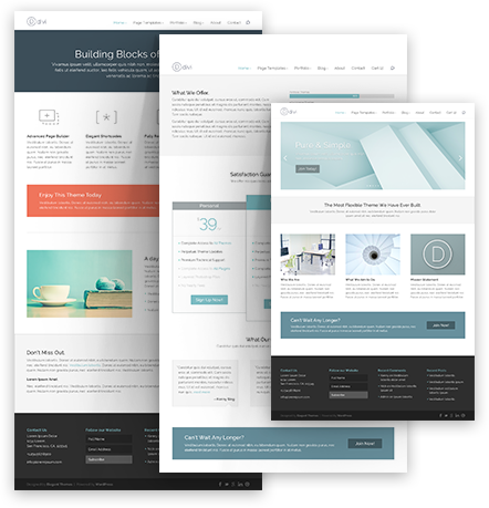 The DIVI Theme