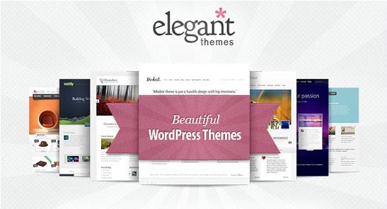 Elegant Themes for Wordpress
